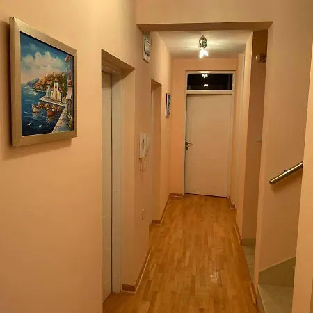 Lux Mitimago Ni